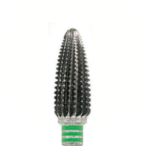 Edenta Dentado sencillo corte tranversal