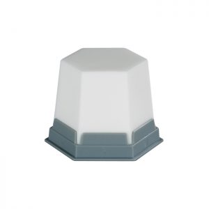 GEO Snow-white L opaca