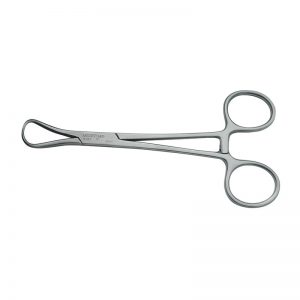 1633 Pinza Backhaus